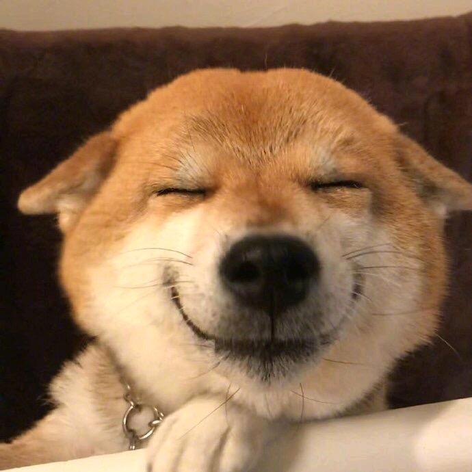 十二
