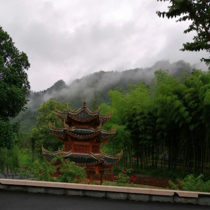花开富贵@