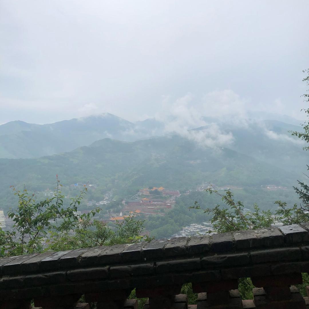 可可