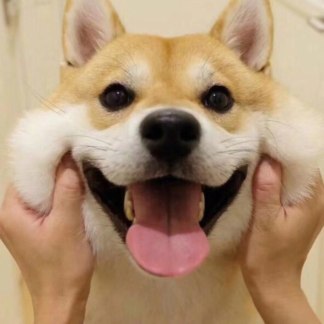 就是辣么萌、