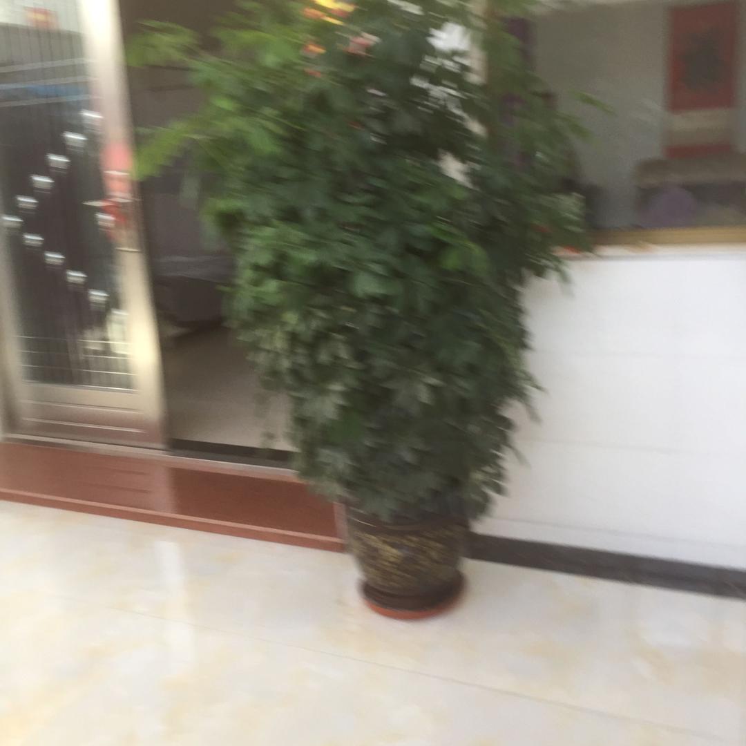 闫