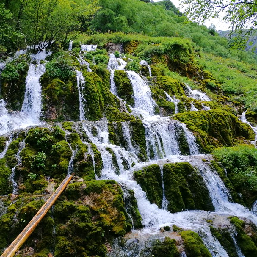 黑与白