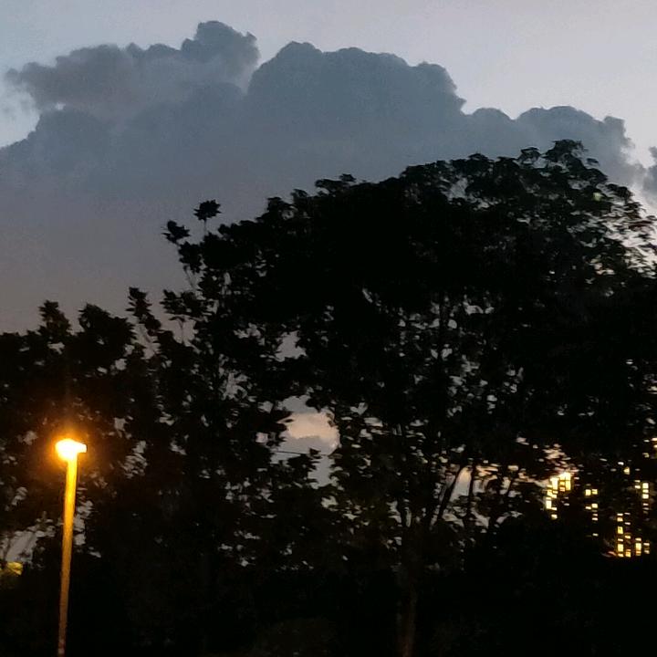 雷哥