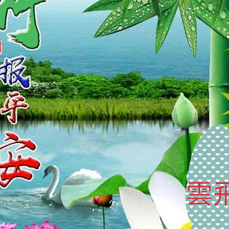 飞大哥