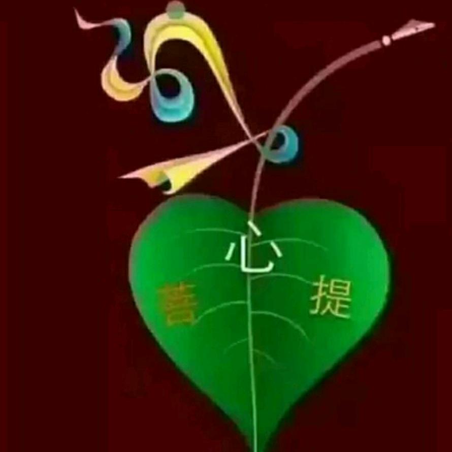 (_灬鳕ぺ飄飄