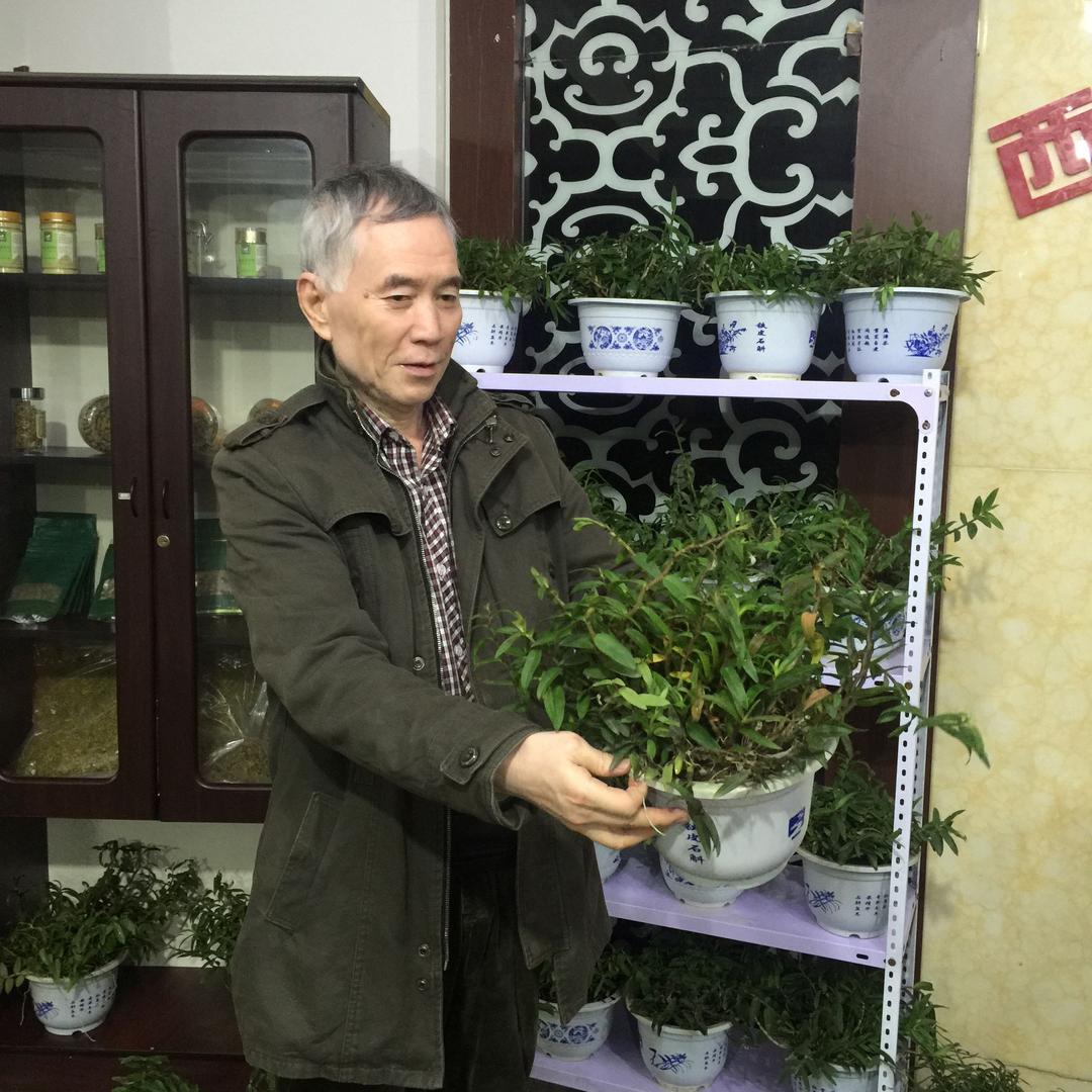 巴菲特