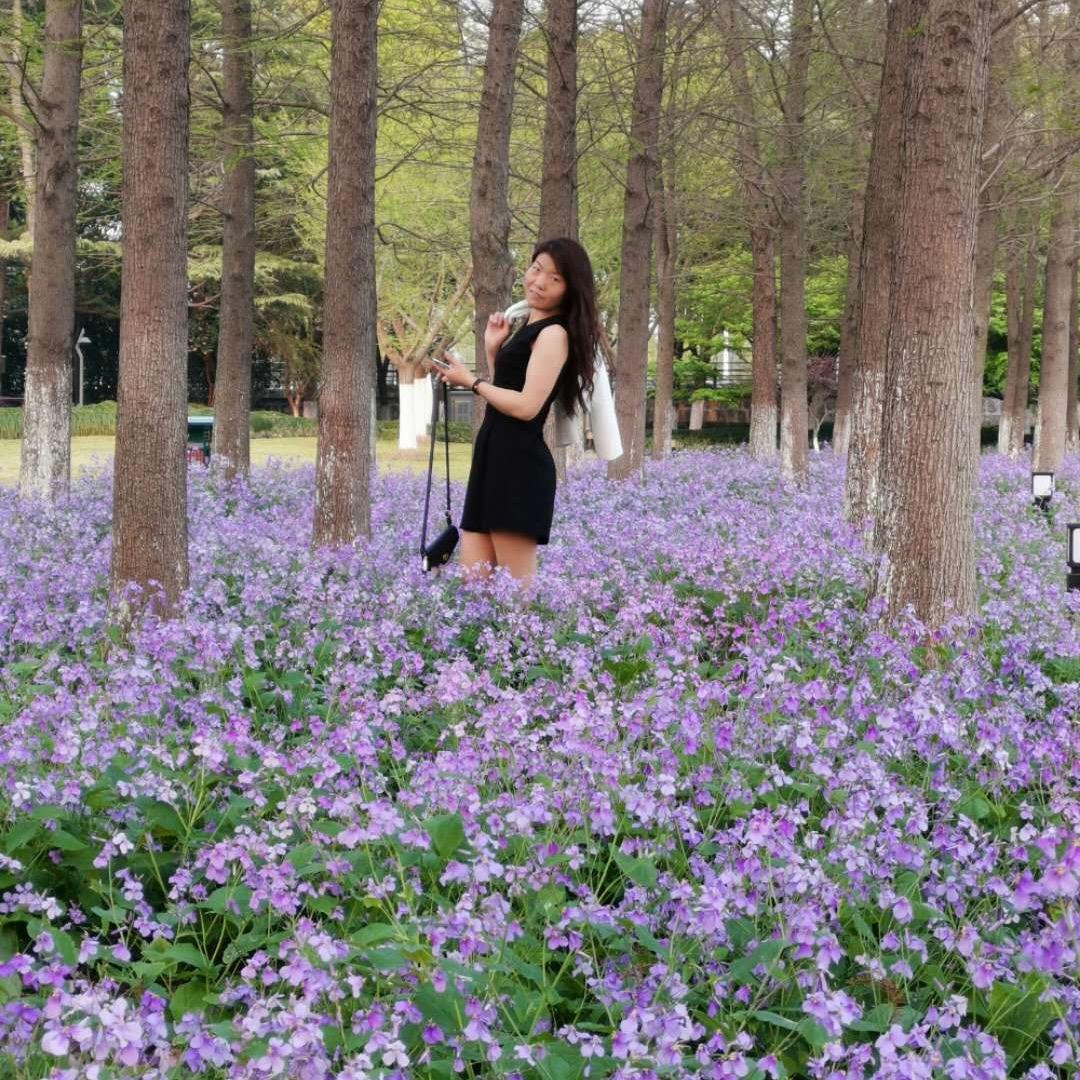 超级笨的大聪明😀