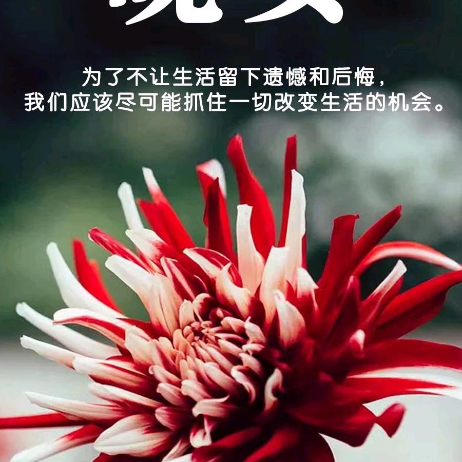 责任