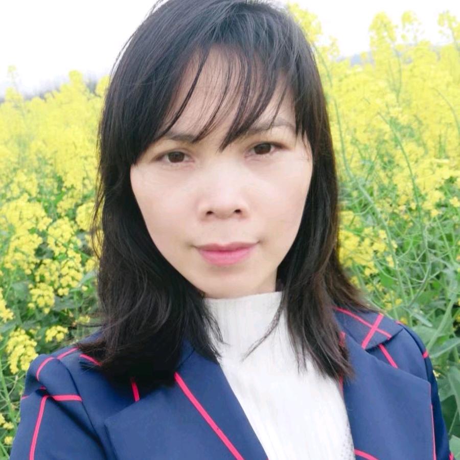 云图国际