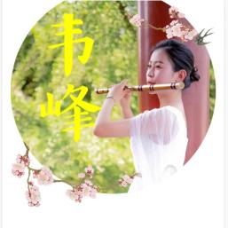 笛韵毛毛🎃韦探笛情