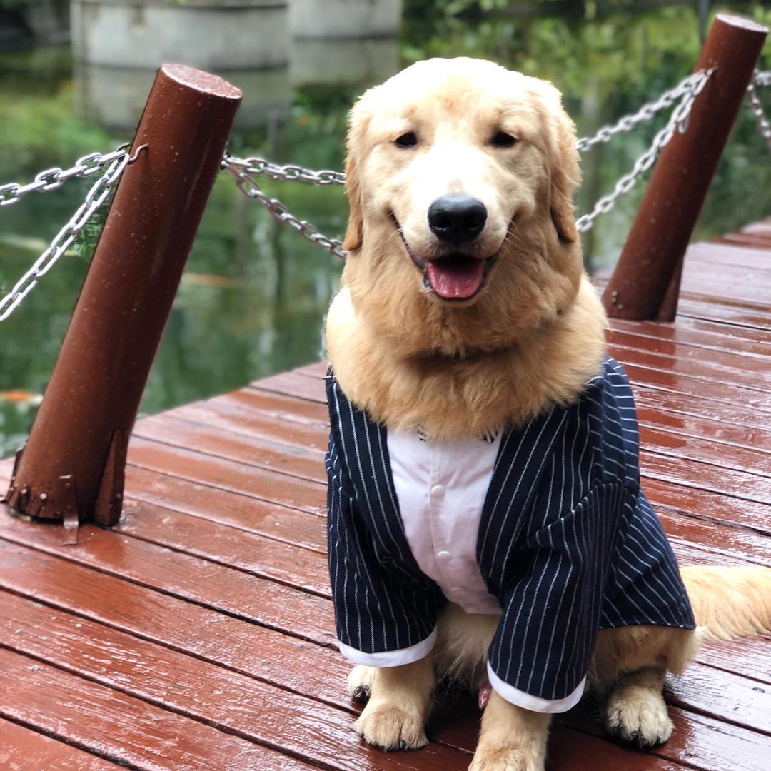 法贝滋皮皮星球汪小疯@抖音