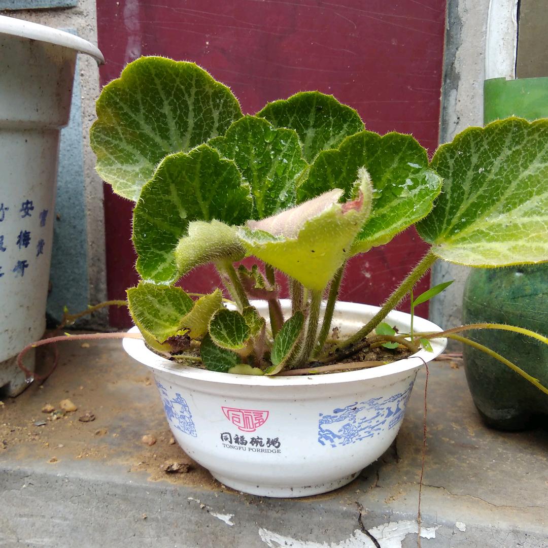 展望未来