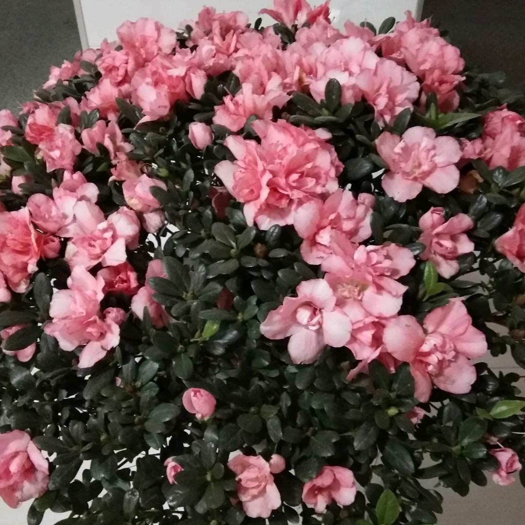 用户3185609323548