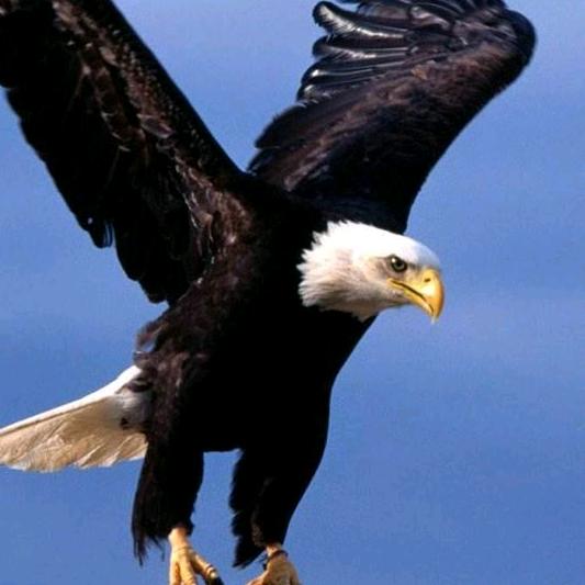 不忘初心，方得始终用户163600530