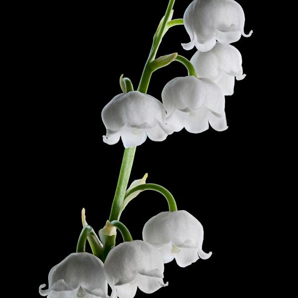 不会玩抖音的人