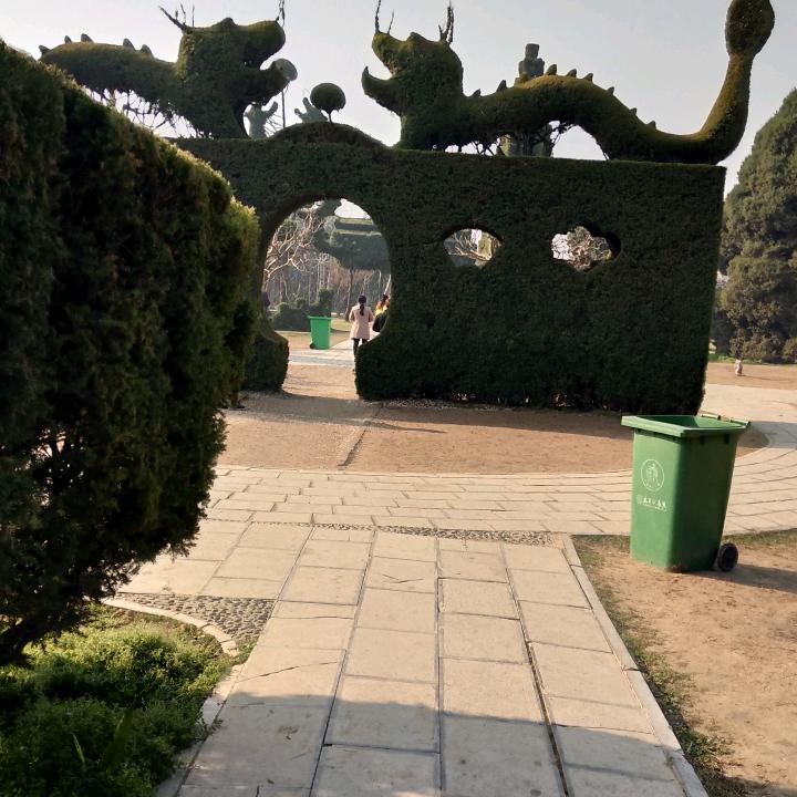 好运常伴
