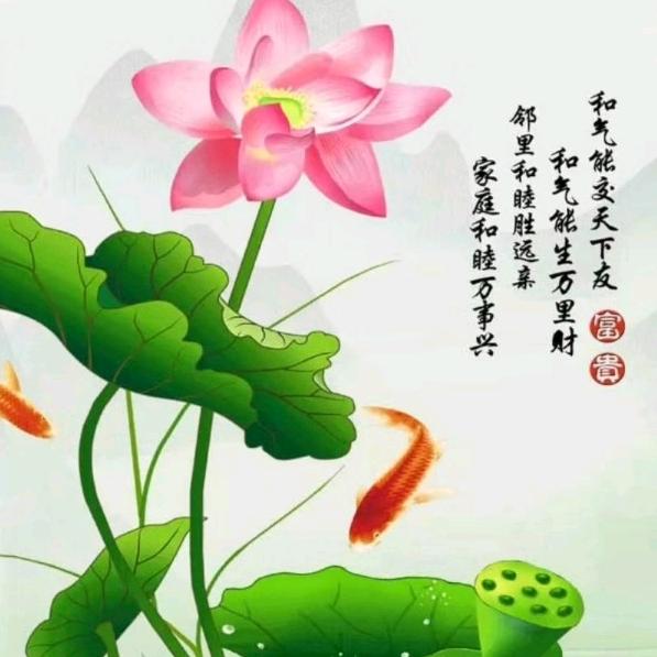 随缘