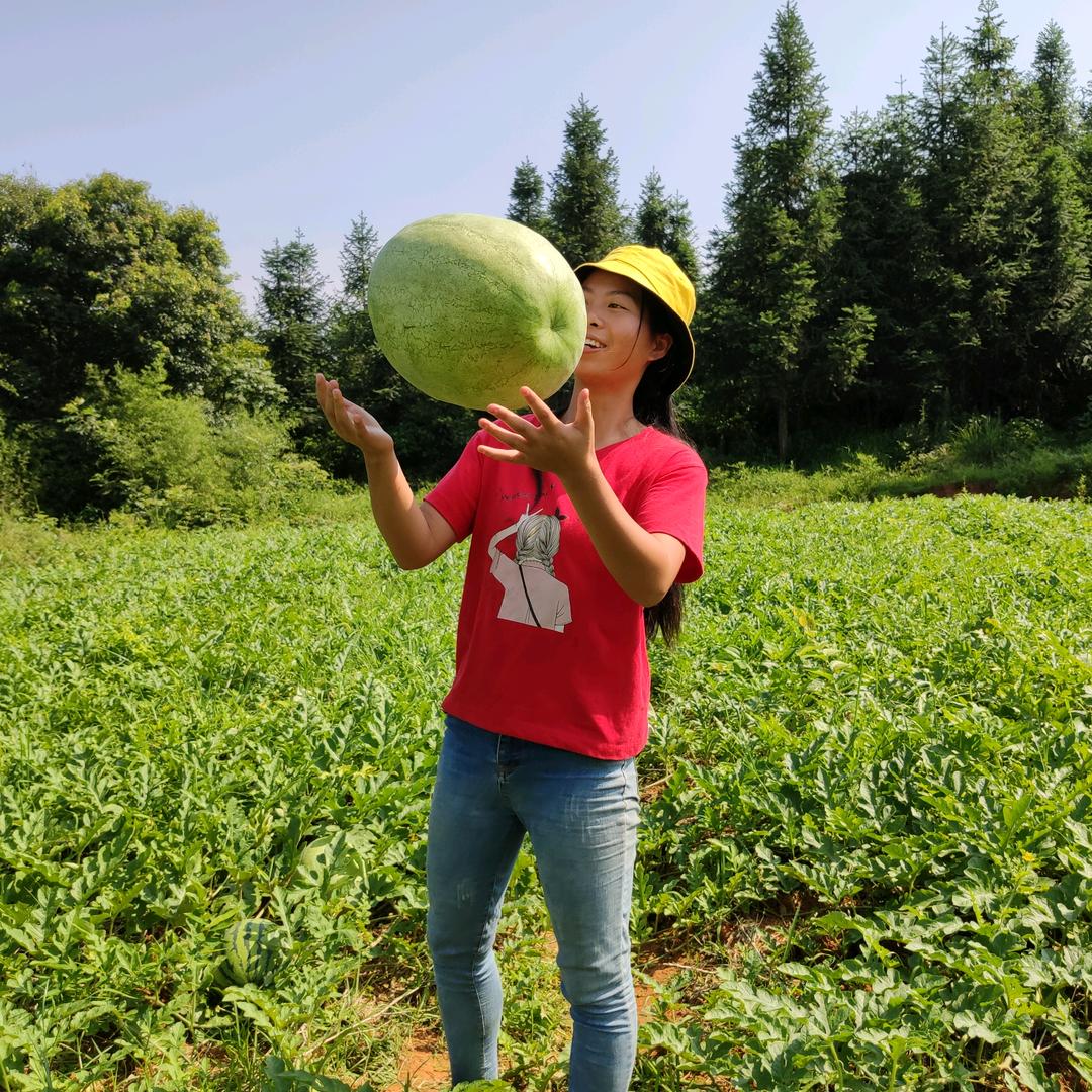 农家小秀土特产