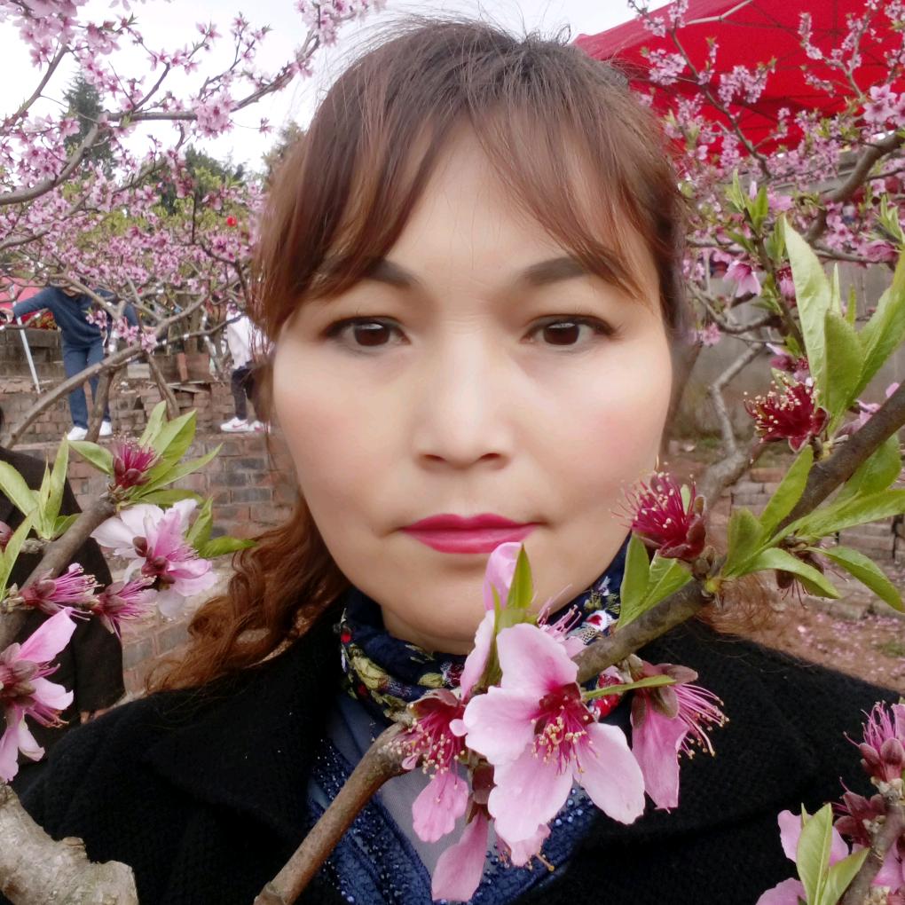 太阳花