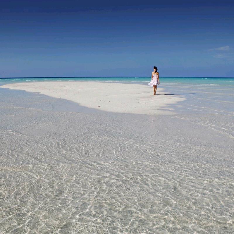 食记手擀面(兴隆山店)