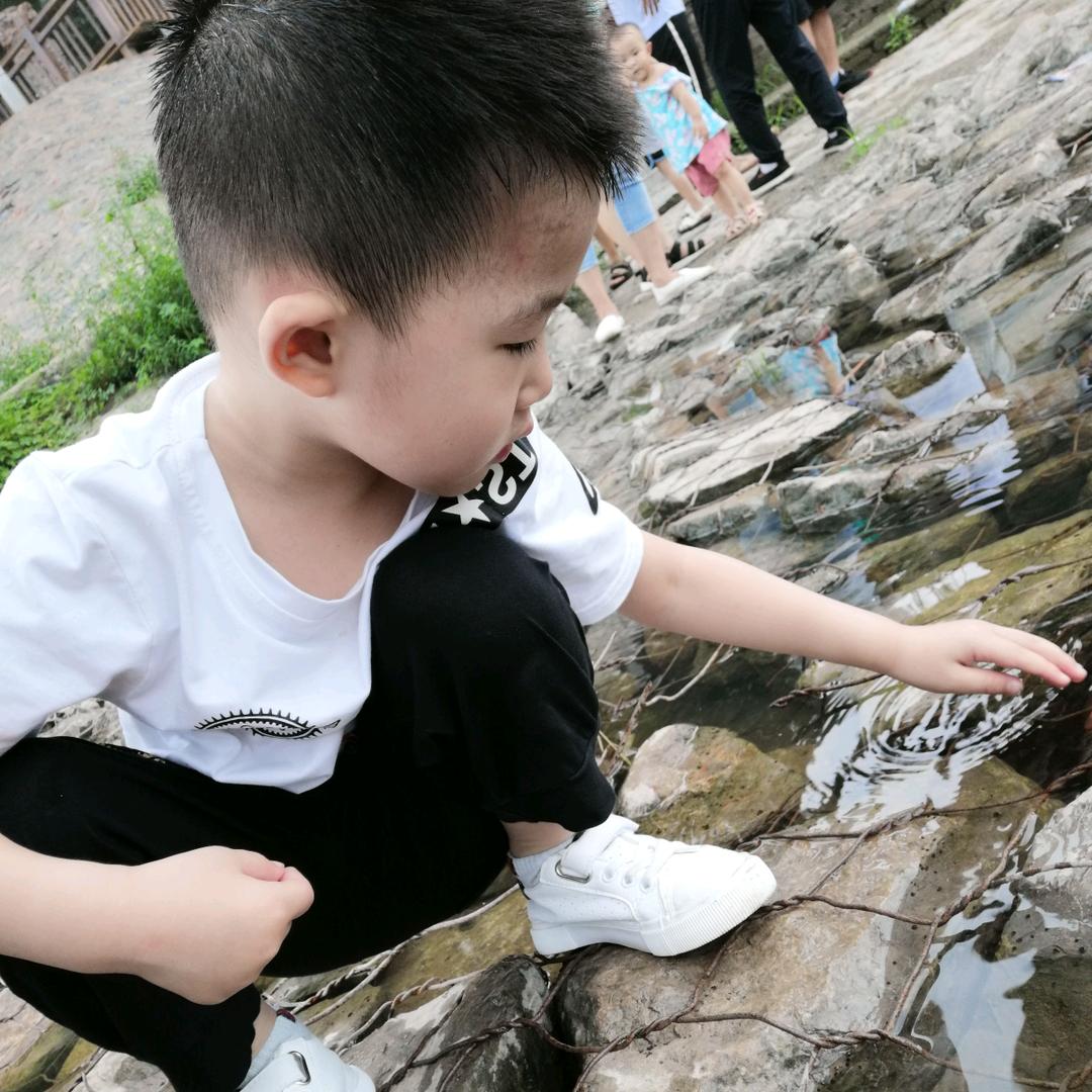 💕❧⁵²⁰远方有李💞꧔ꦿ᭄