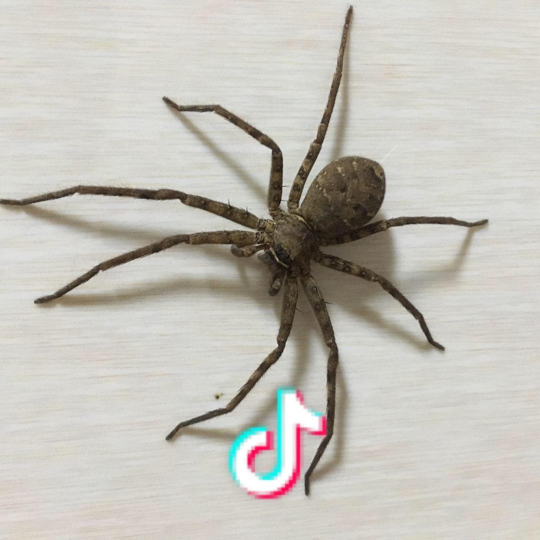 峰