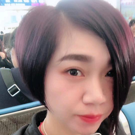 菊宝