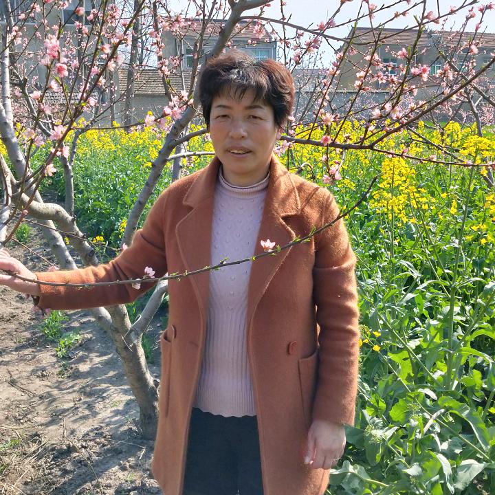 农村王姐