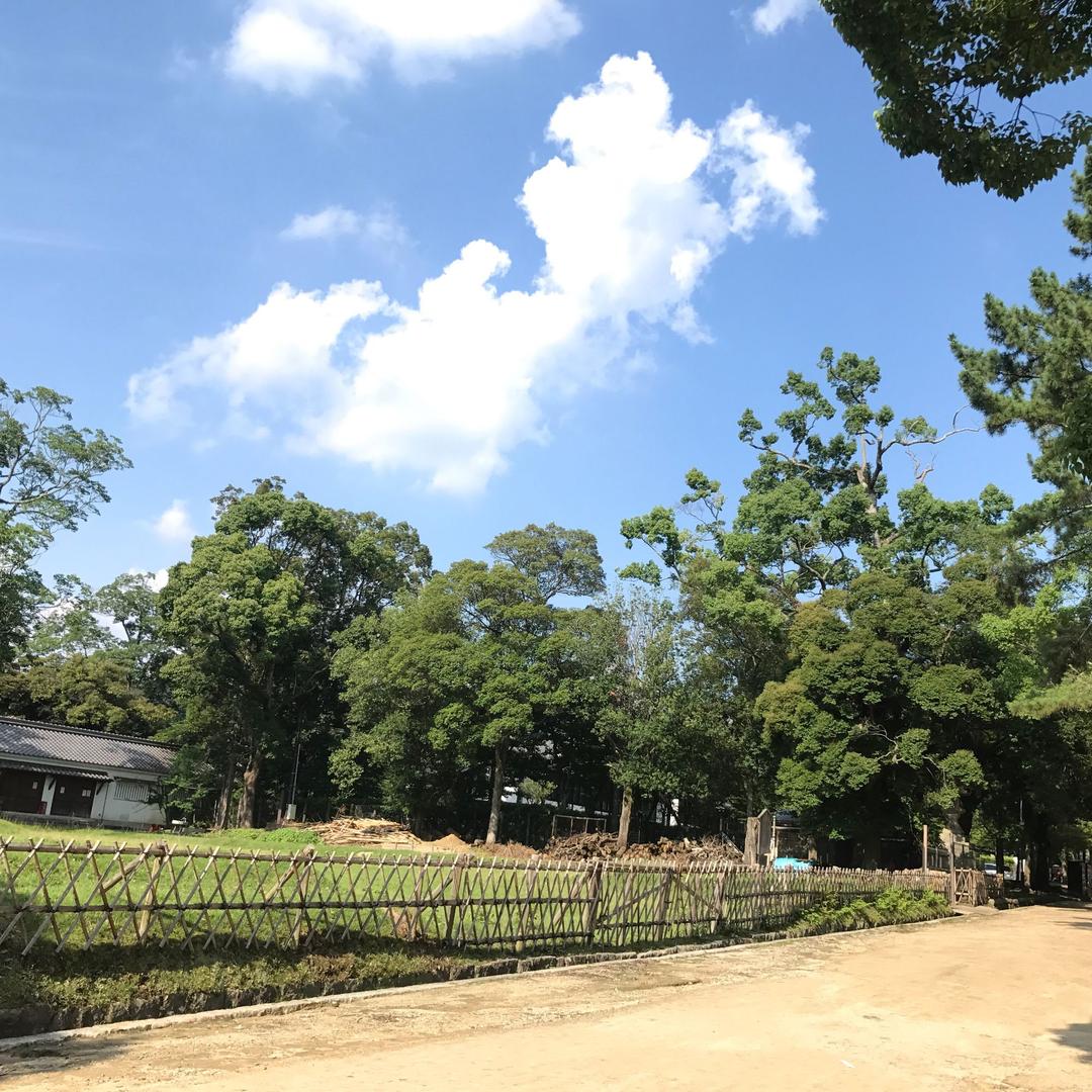 洪小胖