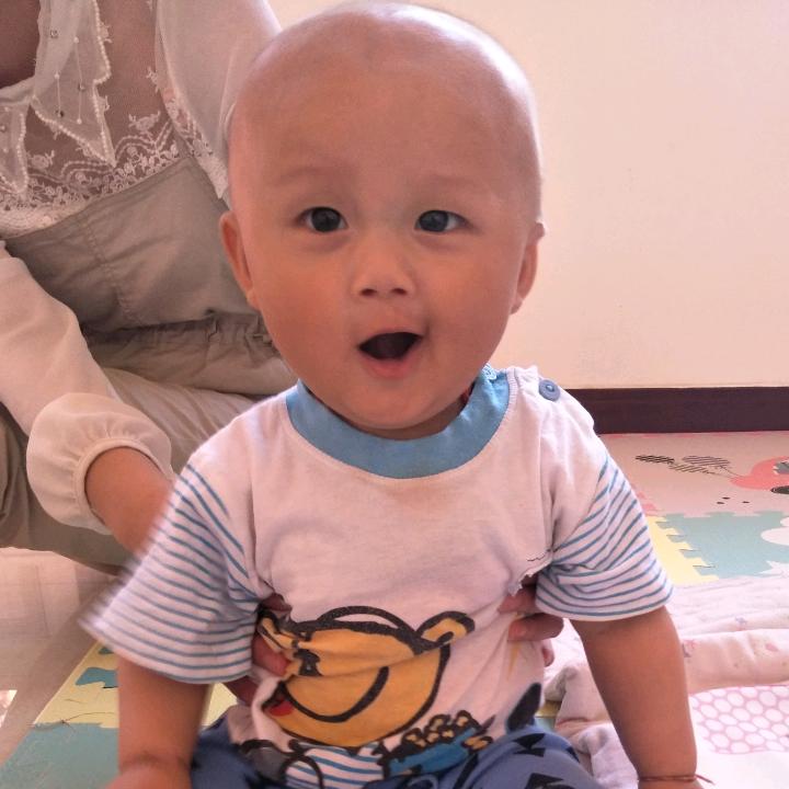 哲哲麻麻