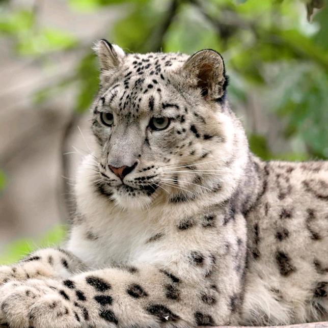 做你永远值得让我保护你的唯一