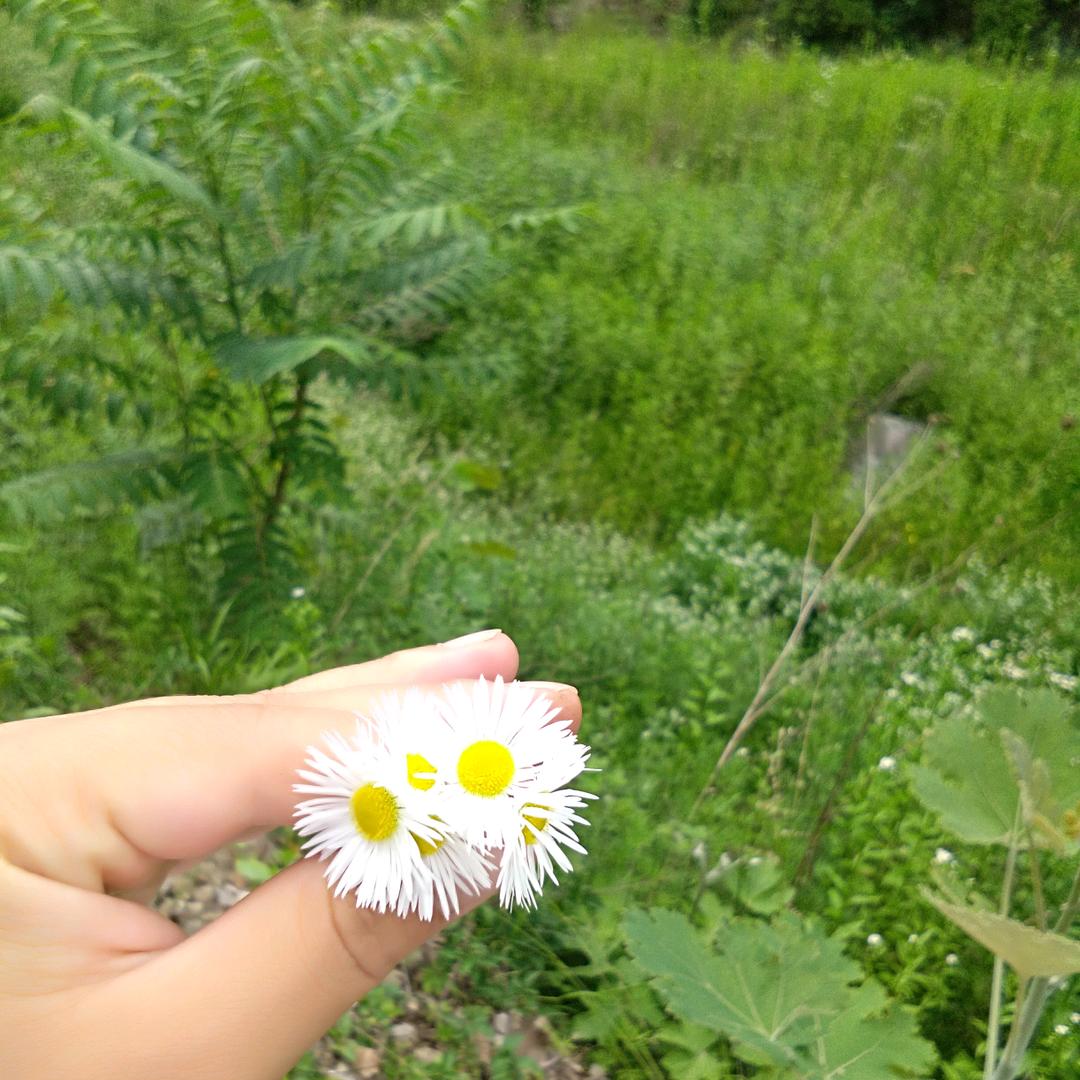 活着也是一种享受