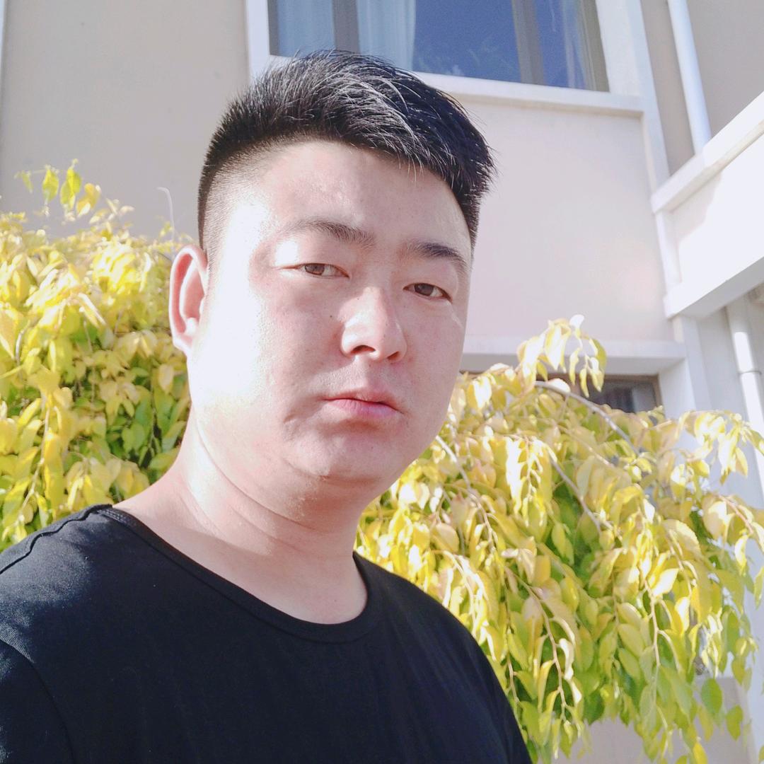 H     T     D     乔