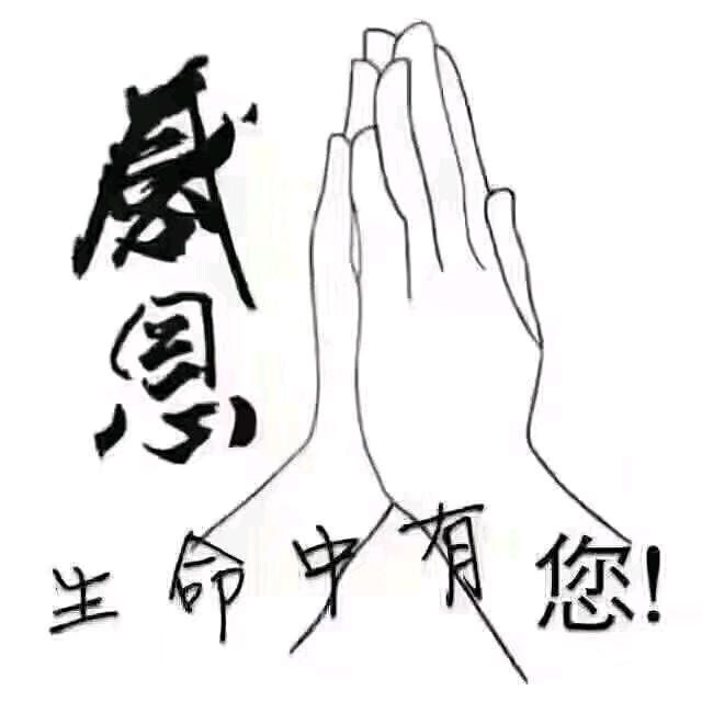 陆jC