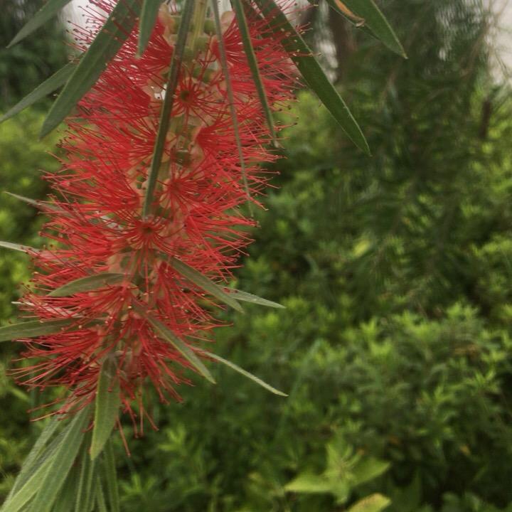 陈列柜