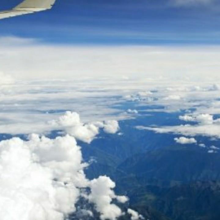 纯菜籽油，加工，零售，批发，萧建想