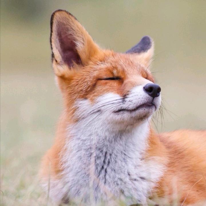 二十一画生