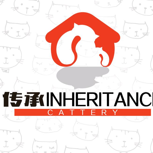 传承的东方短毛猫&异国短毛猫