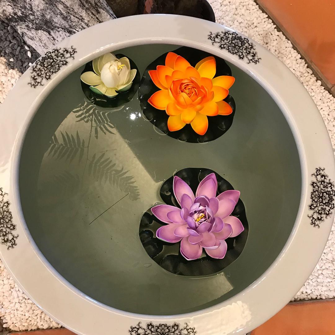 小不点828🍀