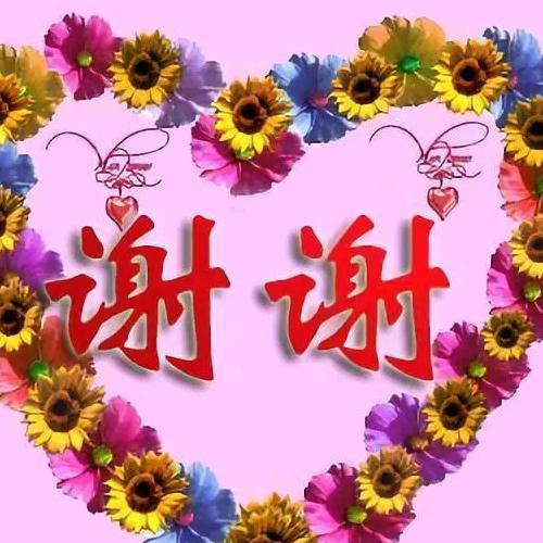 随意