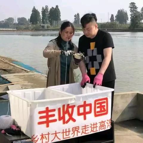 扎蟹能手九珍源水产行