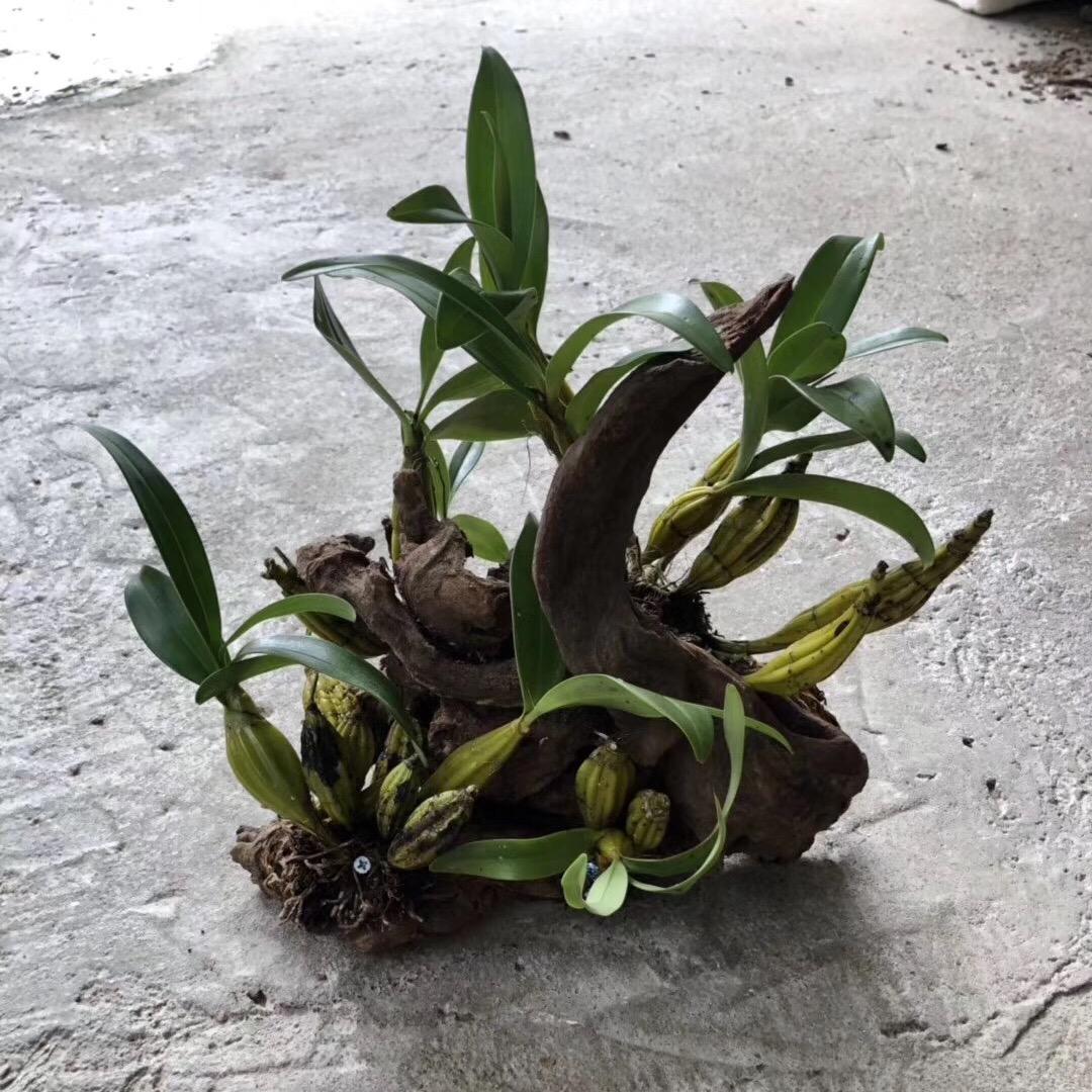 我还是我