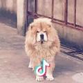 纪会多多