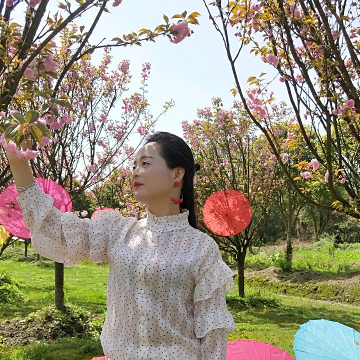 红玫瑰🌹