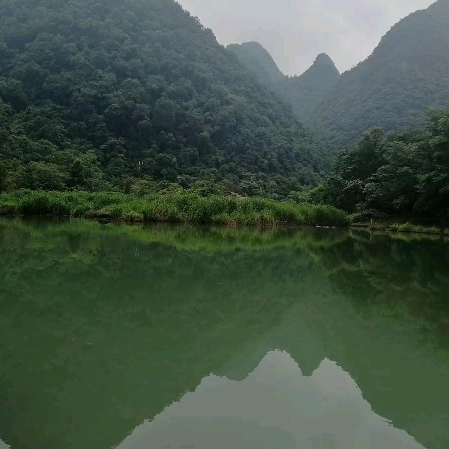 青山绿水