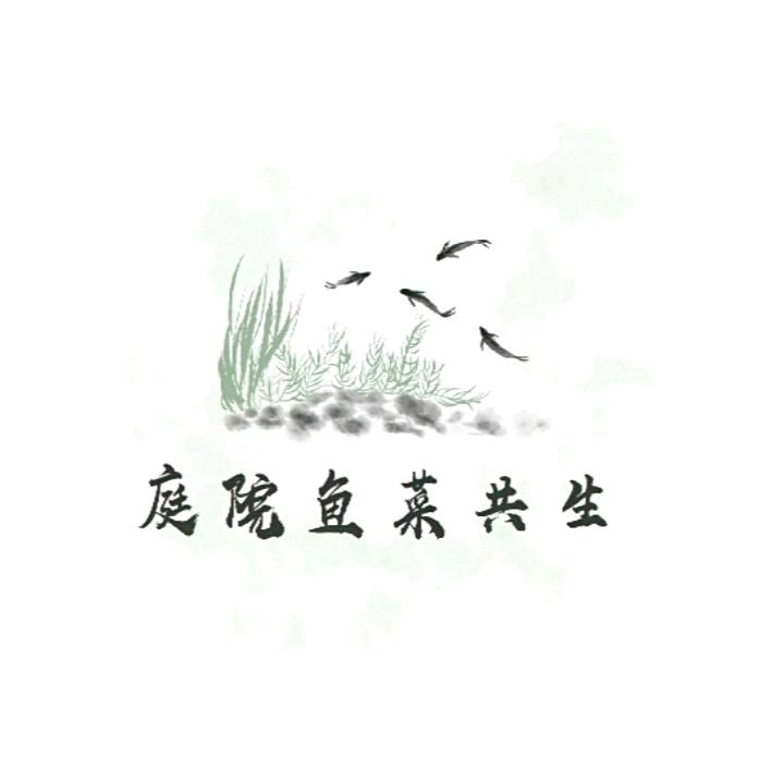 不倒翁的庭院鱼菜共生