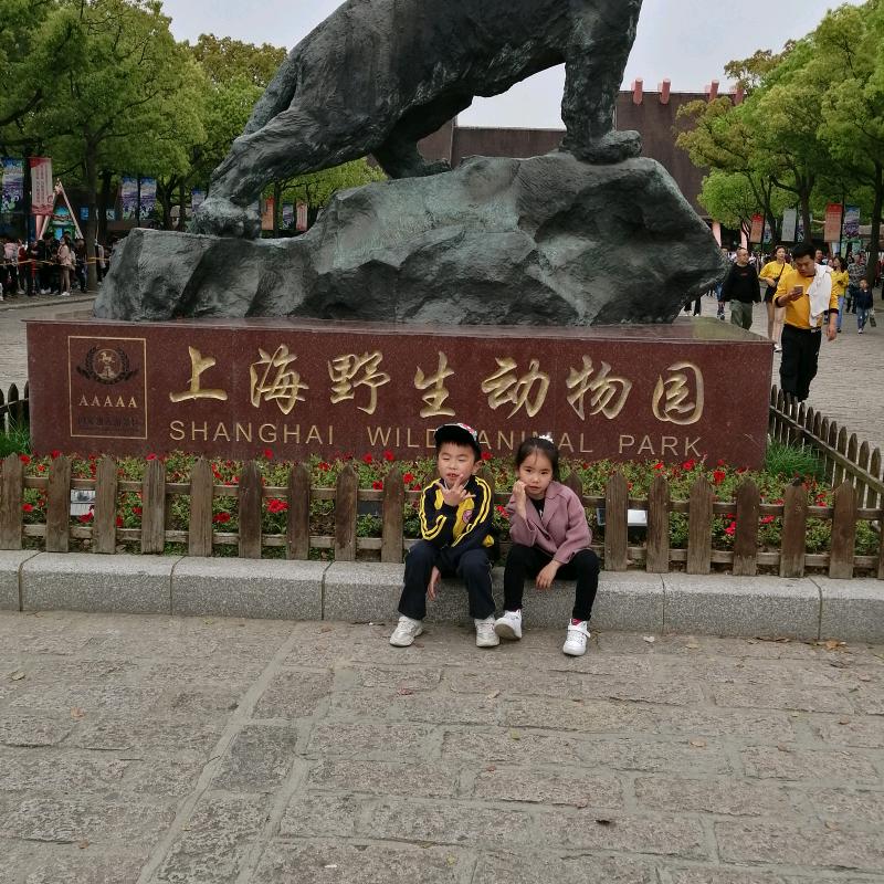 IT搬运工瘦马