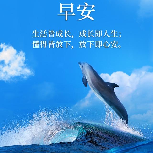 风