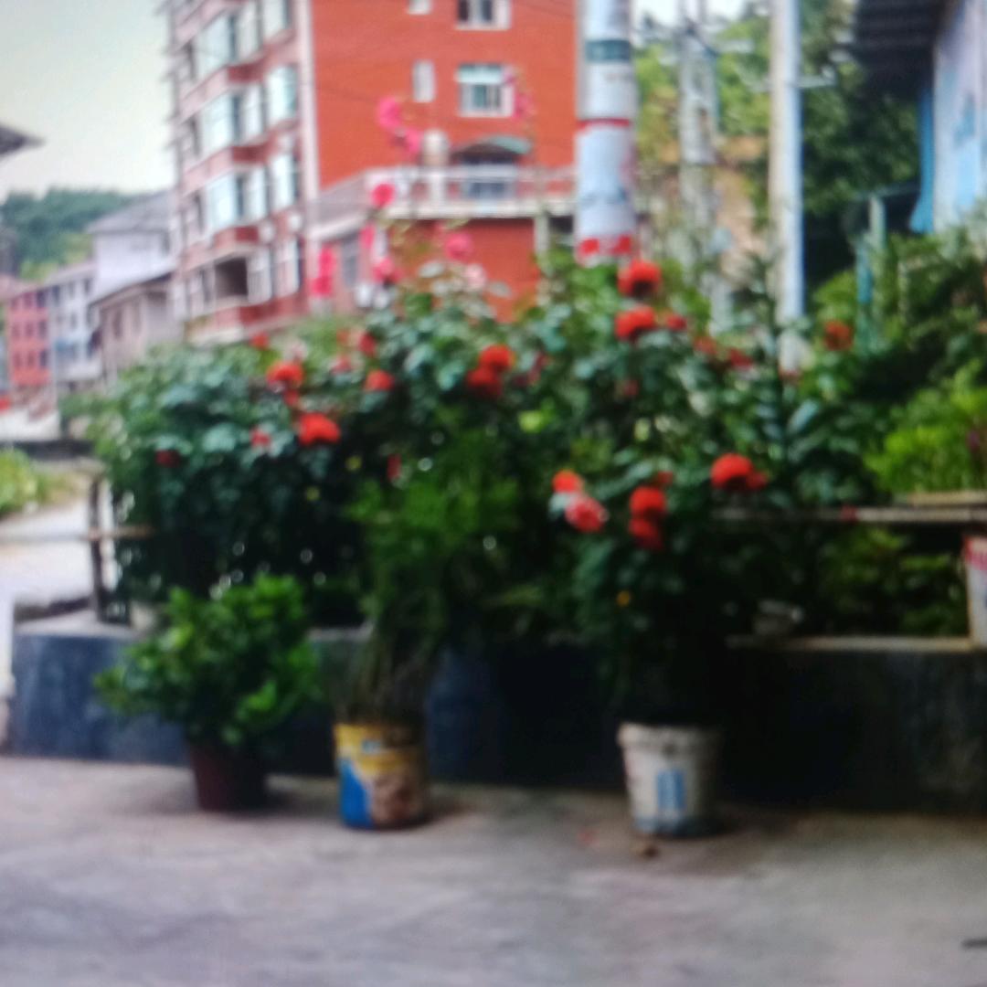 工序