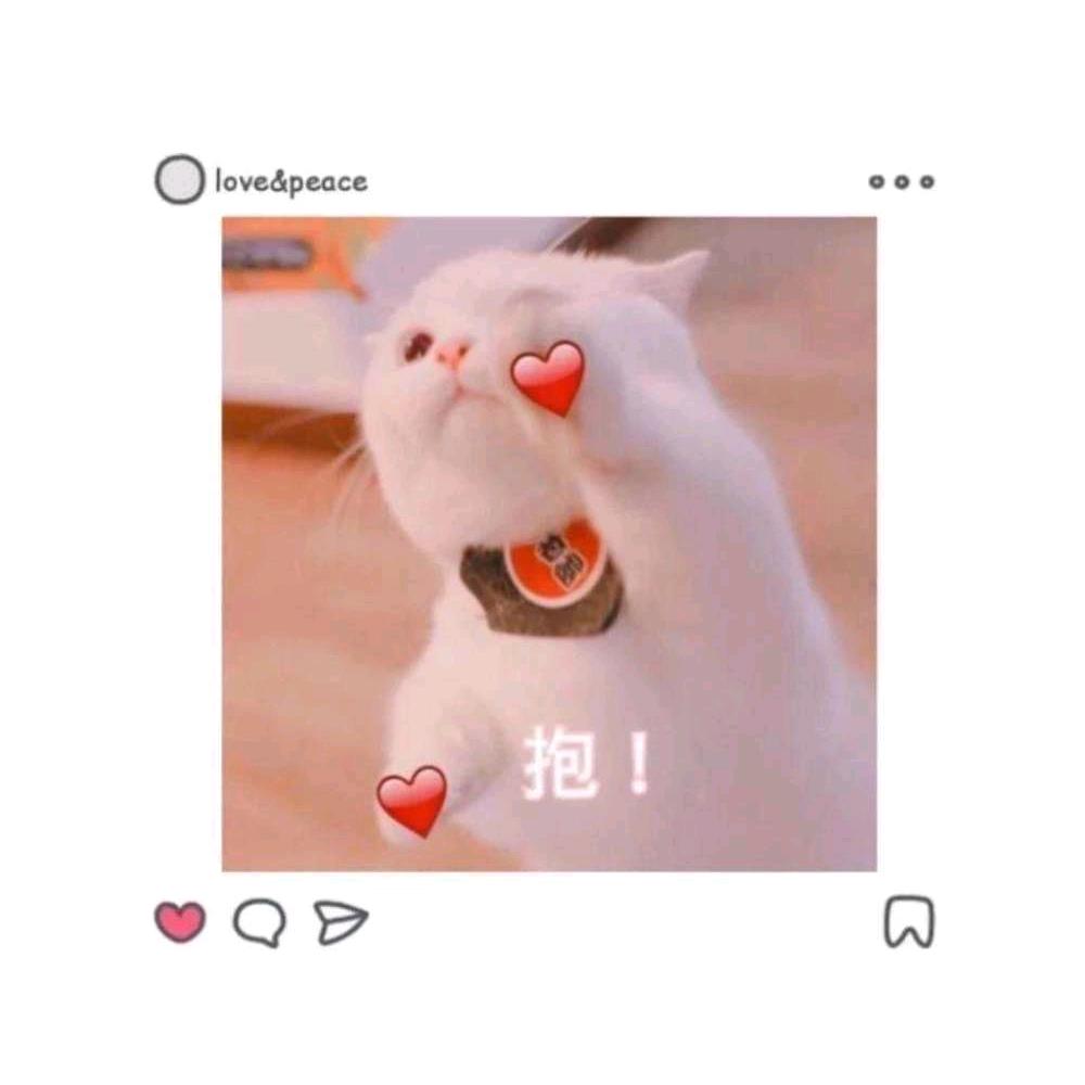 扛过炮的如花